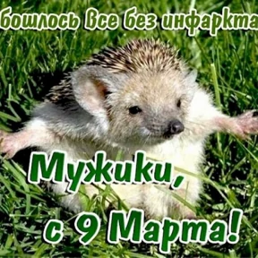 Ежик — стикер 18
