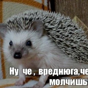 Ежик — стикер 53