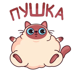 Котик Веня — стикер 26