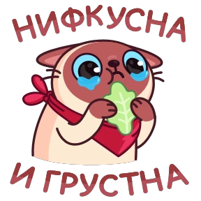 Котик Веня — стикер 15