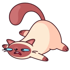 Котик Веня — стикер 7