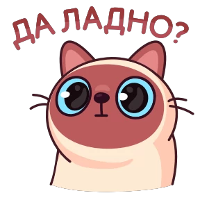 Котик Веня — стикер 10