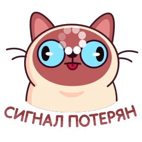 Котик Веня — стикер 12