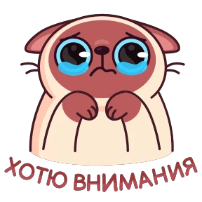 Котик Веня — стикер 29