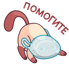 Котик Веня — стикер 16
