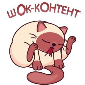 Котик Веня — стикер 13