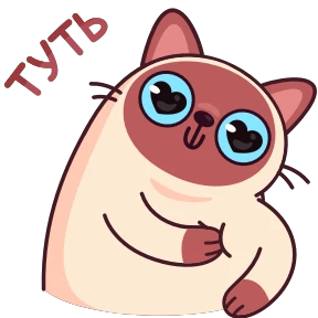 Котик Веня — стикер 35