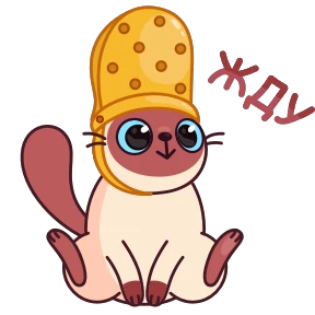 Котик Веня — стикер 31