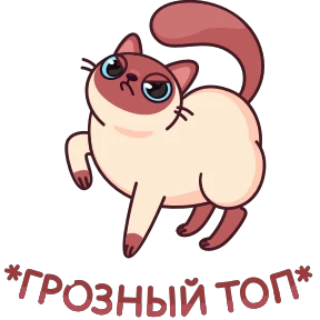 Котик Веня — стикер 8