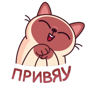Котик Веня — стикер 18