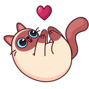 Котик Веня — стикер 28