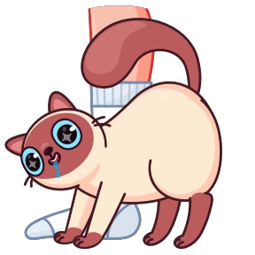 Котик Веня — стикер 14