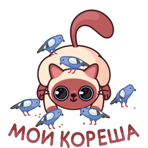 Котик Веня — стикер 11