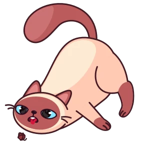 Котик Веня — стикер 32
