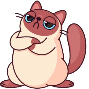 Котик Веня — стикер 38