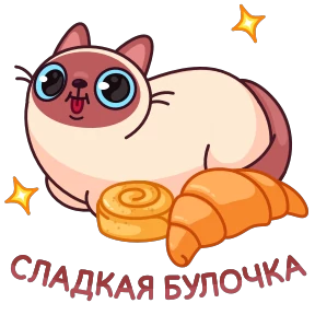Котик Веня — стикер 6