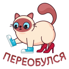 Котик Веня — стикер 30