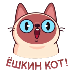 Котик Веня — стикер 24