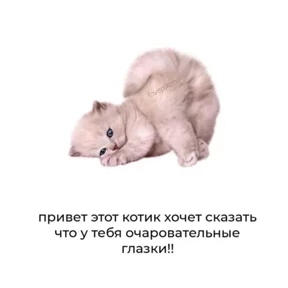 Милота — стикер 18