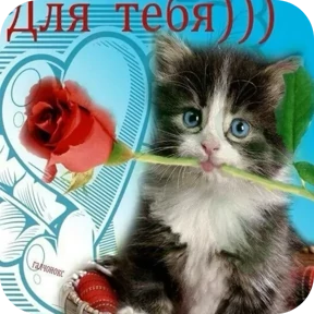 Милота — стикер 10