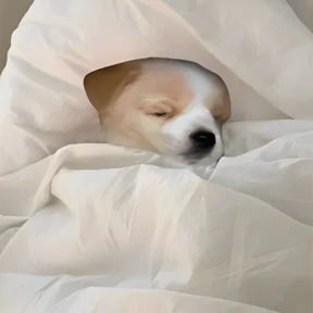Puppy — стикер 24