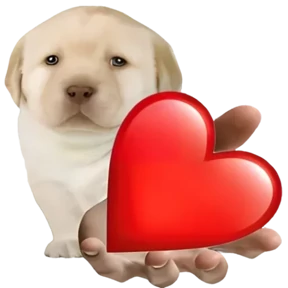 Puppy — стикер 21