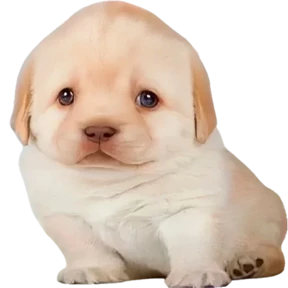 Puppy — стикер 7