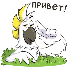 Попугай — стикер 16