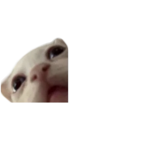Baby memes — стикер 18