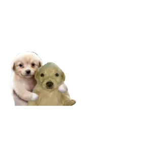 Baby memes — стикер 100