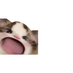 Baby memes — стикер 11