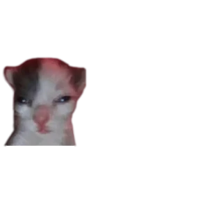 Baby memes — стикер 82