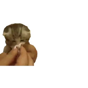 Baby memes — стикер 5