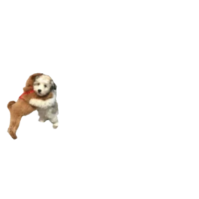Baby memes — стикер 44