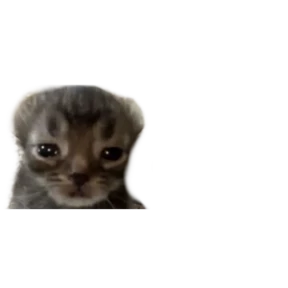 Baby memes — стикер 15