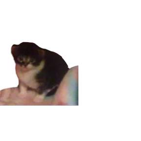 Baby memes — стикер 38