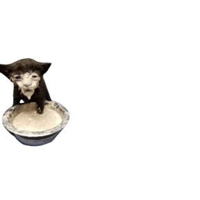 Baby memes — стикер 2