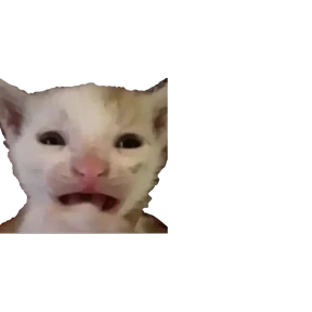 Baby memes — стикер 41