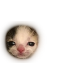 Baby memes — стикер 36