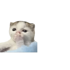 Baby memes — стикер 60