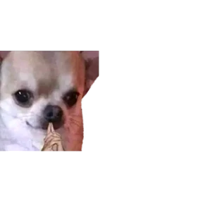 Baby memes — стикер 28