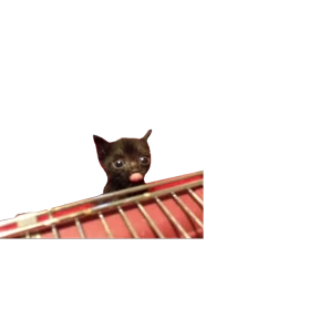 Baby memes — стикер 51