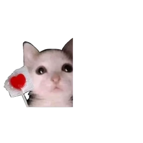 Baby memes — стикер 24