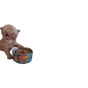 Baby memes — стикер 7