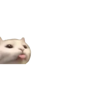 Baby memes — стикер 59