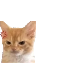 Baby memes — стикер 55