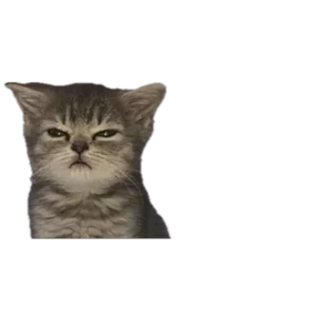 Baby memes — стикер 6