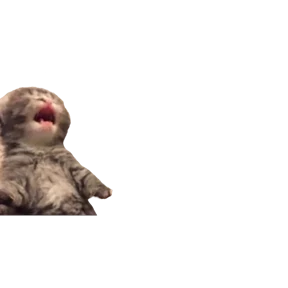 Baby memes — стикер 13