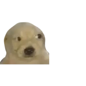 Baby memes — стикер 3