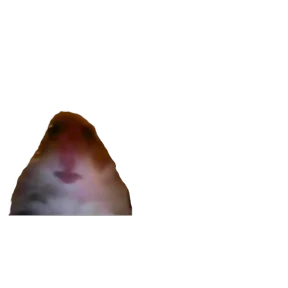 Baby memes — стикер 77